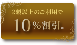 2等以上のご利用で10％割引