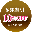 多頭割引10％OFF