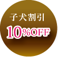 子犬割引10％OFF