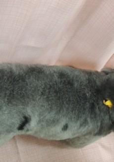ハンナちゃん